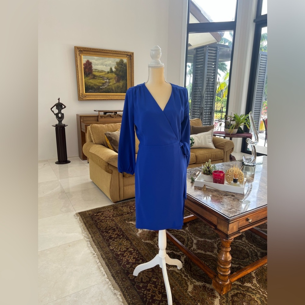 NEW, never worn dress, ironed @ dry cleaner.
